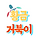 황금 거북이 프로필
