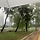 임곤 프로필
