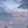 윤윤당 프로필