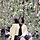 김현주 프로필