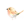 프루스트 프로필