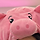 Pickypinkpiggy 프로필