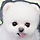 장퐁키 프로필