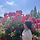 Lyy 프로필