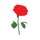 달미꽃 프로필