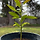 Avocado 프로필