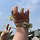 young 프로필