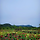 공상 프로필