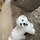 행복 프로필
