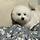 이은주 프로필