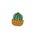 가시꽃 프로필