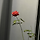 eN 프로필