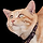땡복 프로필