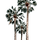세냐자 프로필