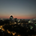 고구마 프로필