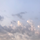 이씨잡변 프로필