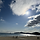 Sunny 프로필