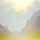 푸름 프로필