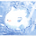 죽지않는개복치 프로필