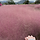 봉봉 프로필