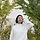 김본이 프로필