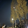 Augustory 프로필