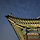 생각하는숲 프로필