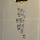 밤비 프로필