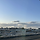 다다 프로필