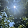 Soso 프로필