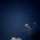 김윤정 프로필