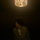 모름 프로필