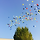 수련 프로필