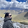 요니 프로필