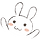 생존과 관찰 사이 프로필