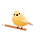 margin bird 프로필