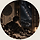 Lyun 프로필