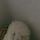 ram 프로필