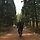 ordinary affects 프로필