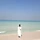 송림 프로필