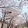 해피데이 프로필