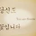 Dayoung 프로필
