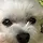 BuddyB 프로필