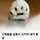 영글 프로필