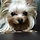 최은경 카타리나 프로필