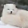 이정민 프로필