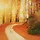 조연희 프로필