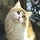 검냥이 프로필