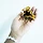 박혜정 프로필