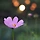 seon 프로필